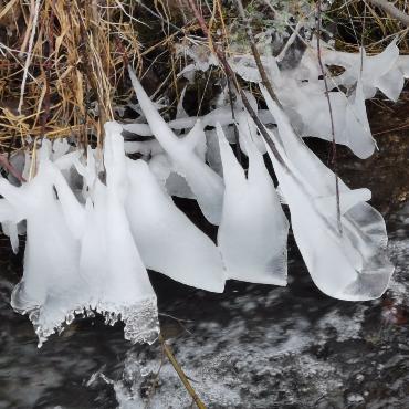 Dieses Eisgebilde entdeckte Paul Wermuth an einem Bächlein in Reichenbach. 