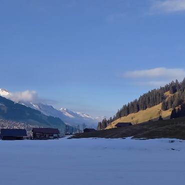 Licht und Schatten - Bild: Therese Horrer-Bärtschi